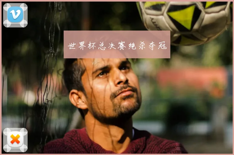世界杯总决赛绝杀夺冠