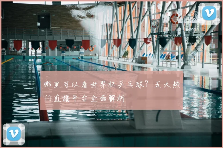 哪里可以看世界杯乒乓球？五大热门直播平台全面解析