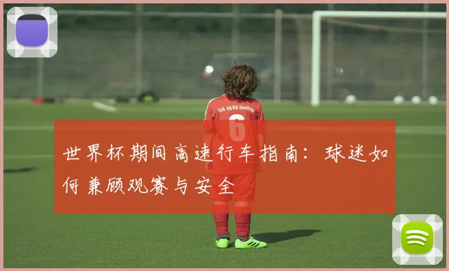 世界杯期间高速行车指南：球迷如何兼顾观赛与安全