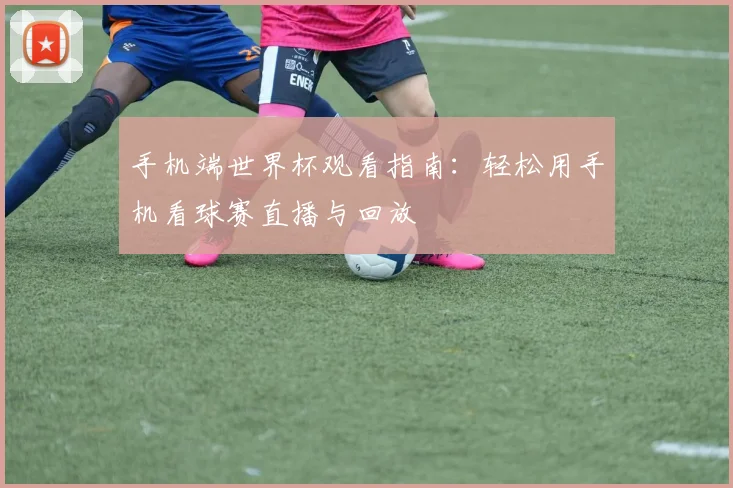 手机端世界杯观看指南:轻松用手机看球赛直播与回放