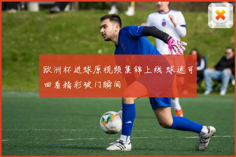 欧洲杯进球原视频集锦上线 球迷可回看精彩破门瞬间