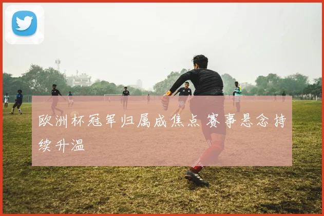 欧洲杯冠军归属成焦点 赛事悬念持续升温