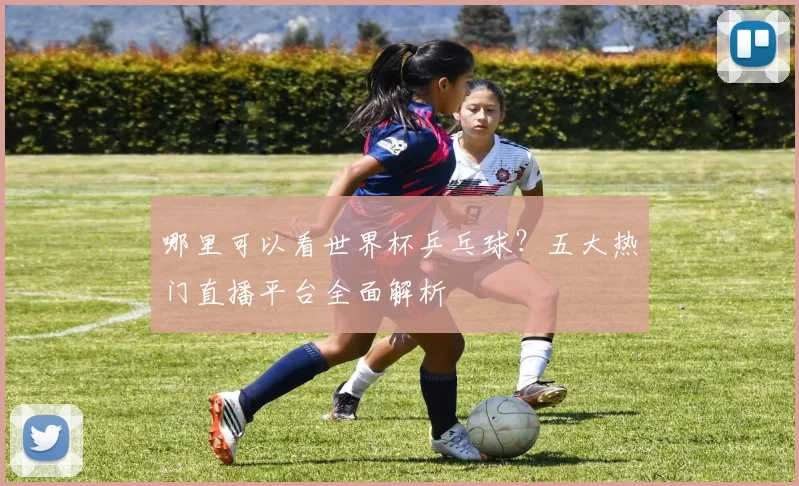 哪里可以看世界杯乒乓球？五大热门直播平台全面解析