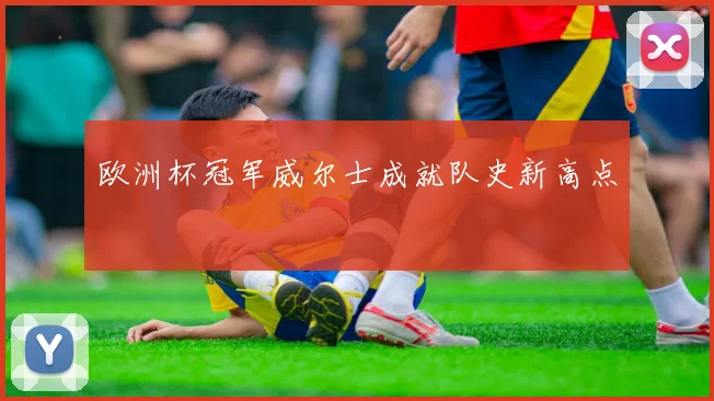 欧洲杯冠军威尔士成就队史新高点
