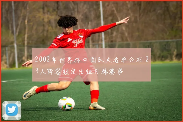 2002年世界杯中国队大名单公布 23人阵容锁定出征日韩赛事