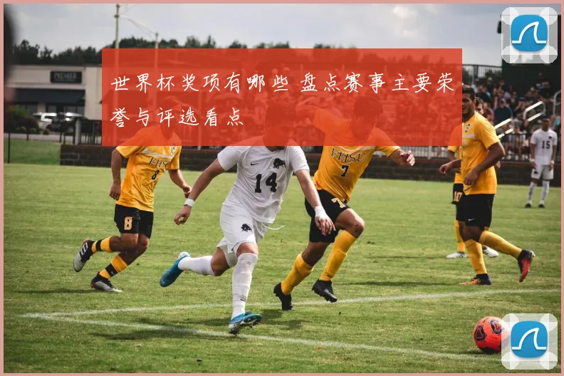 世界杯奖项有哪些 盘点赛事主要荣誉与评选看点