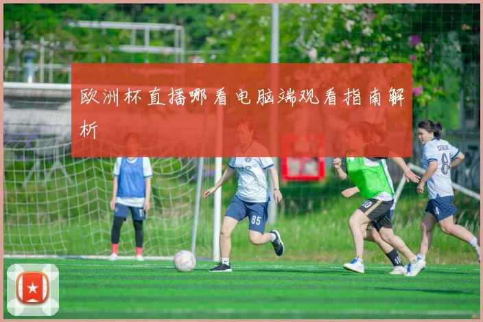 欧洲杯直播哪看电脑端观看指南解析