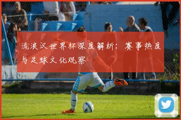 流浪汉世界杯深度解析：赛事热度与足球文化观察
