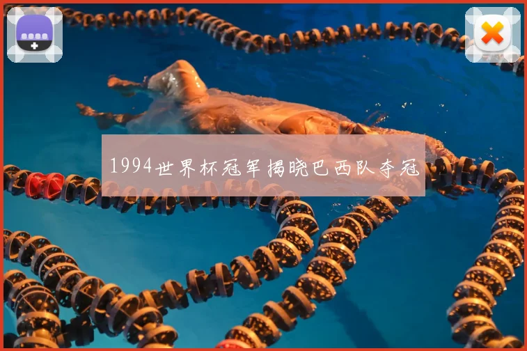 1994世界杯冠军揭晓巴西队夺冠