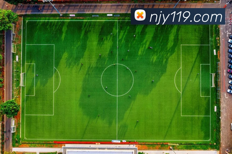 世界杯官方入口平台生态图